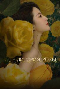 История Розы